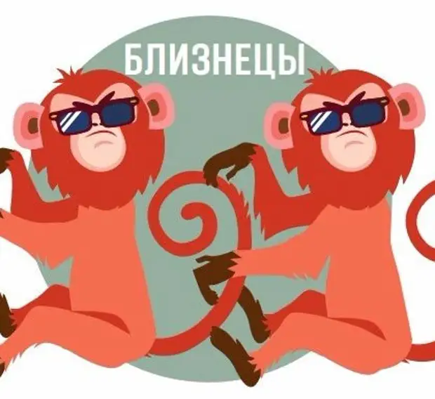 Monkey twin. Год красной огненной обезьяны. Красная Огненная обезьяна. 2016 Год огненной обезьяны. Гороскоп огненной обезьяны.