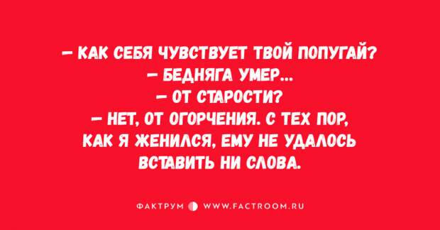 Ну очень смешные анекдоты, помогающие развеять скуку