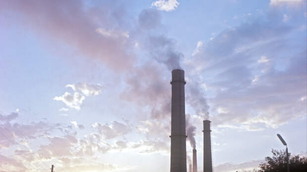 Дохлая рыба и отравленная вода: район в Дагестане оказался на грани экологической катастрофы