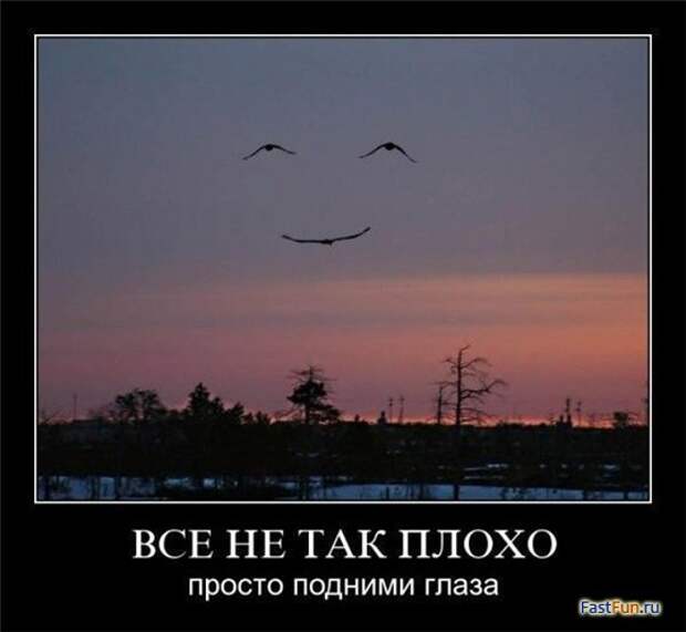 Подборка демотиваторов