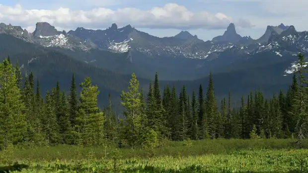 Возбуждено дело по факту смерти туриста после нападения медведя в «Ергаках»