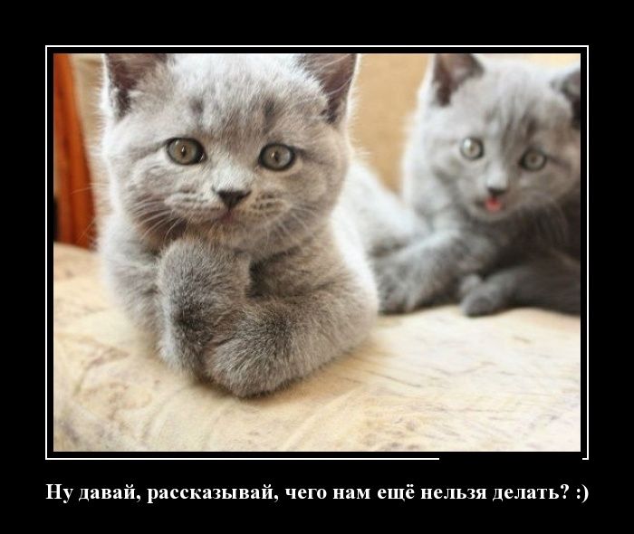 Демотиваторы (30 фото) Демотиваторы (30 фото)