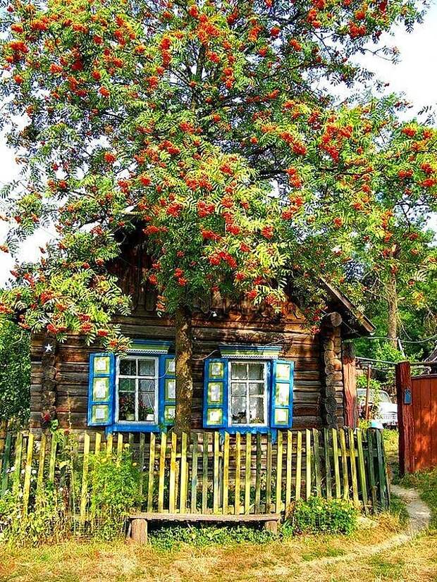 Вот моя деревня, вот мой дом родной: 16 милых деревенских фото