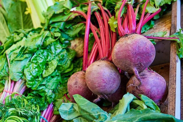 Свекольная икра: простая закуска, которая вкуснее на следующий день