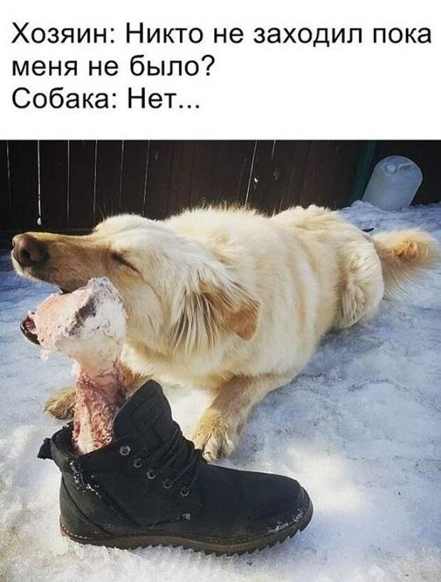 Свежие угарные картинки