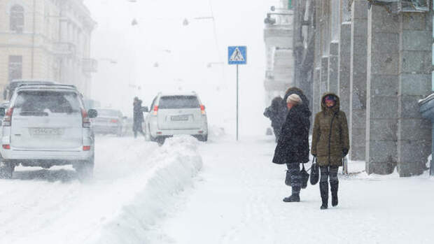 Метель и сугробы в полметра: синоптики назвали дату снежного апокалипсиса в Москве