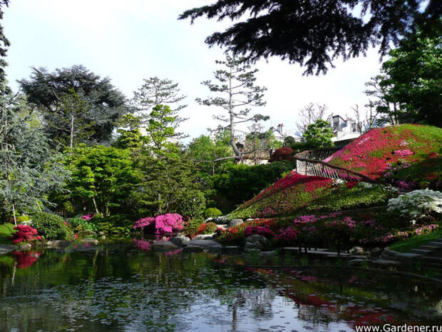 9[1] (700x525, 154Kb)