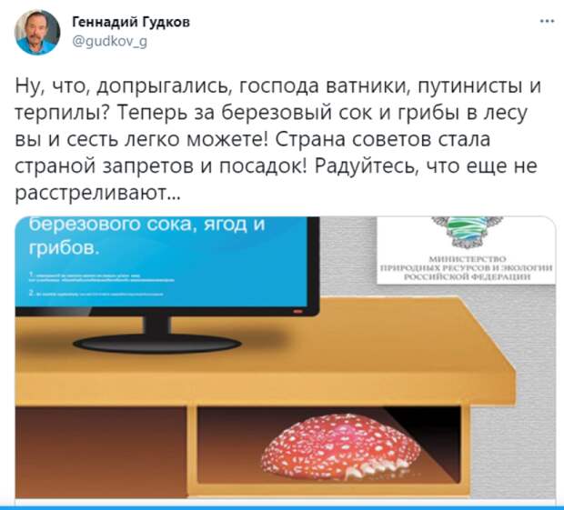 Гудков ввел россиян в заблуждение вбросом об ужесточении правил сбора грибов