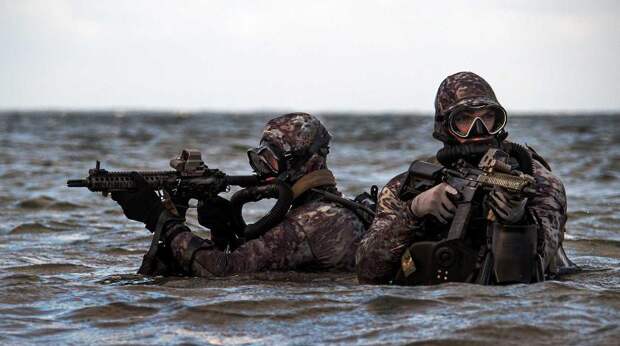 НАТО репетирует высадку "морских котиков" в Крыму - СМИ
