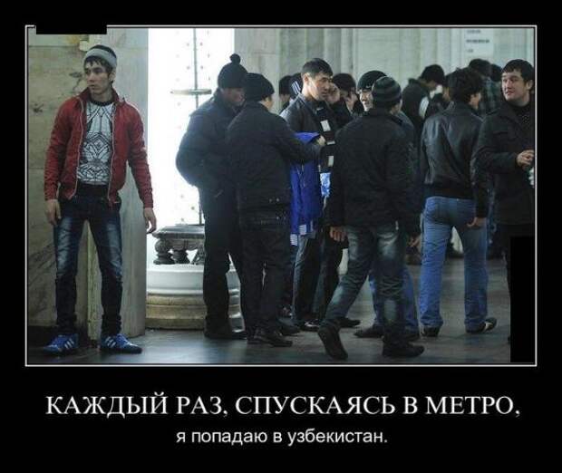 Немного новых демотиваторов