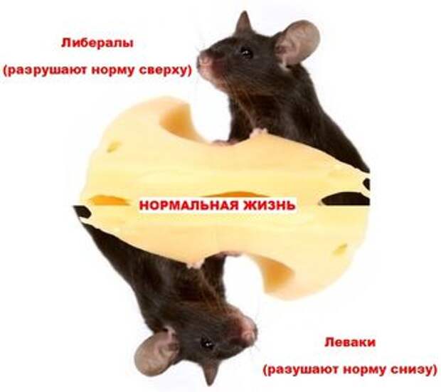 Нерушимый блок марионеток и идиотов