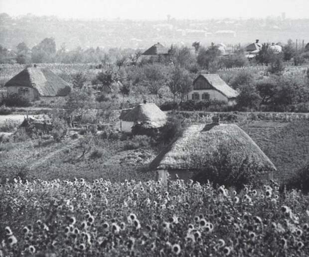 Деревня, располагающаяся неподалеку у поля подсолнечника. СССР, Полтава, 1960 год.