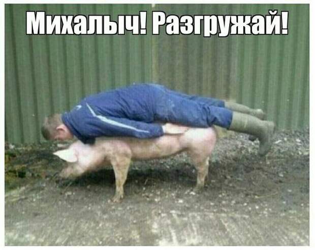 Свежие угарные картинки