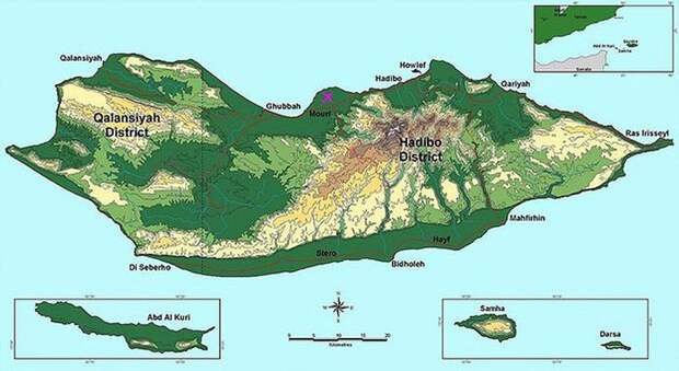 Удивительный остров Сокотра Socotra01 Удивительный остров Сокотра