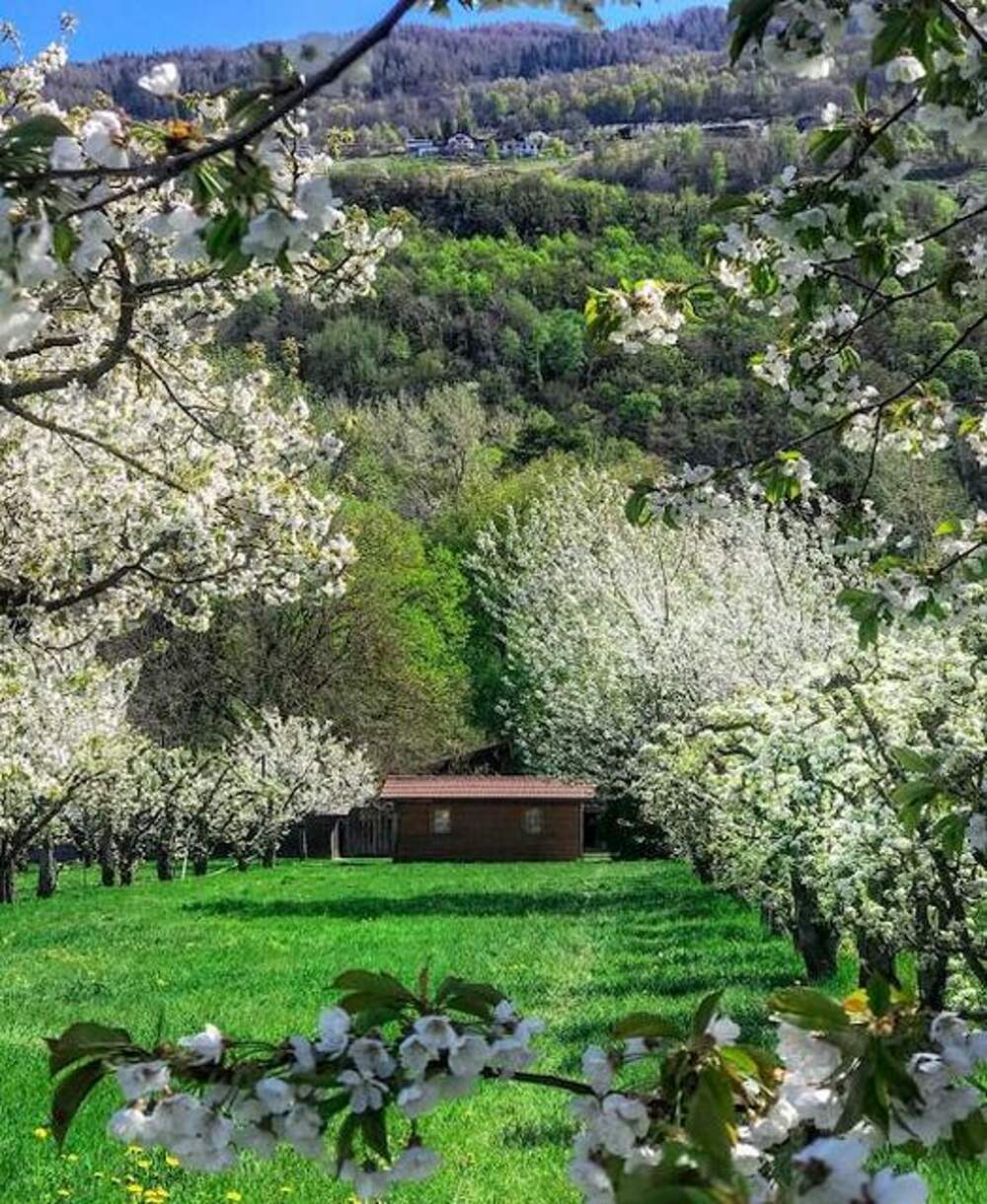 Швейцария весной фото