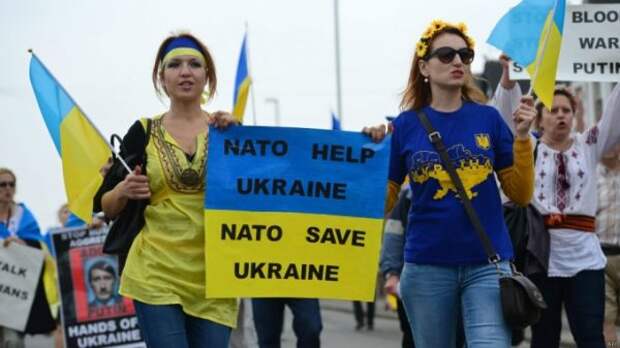 Украина ползёт в НАТО огородами, чтобы не получить люлей от России