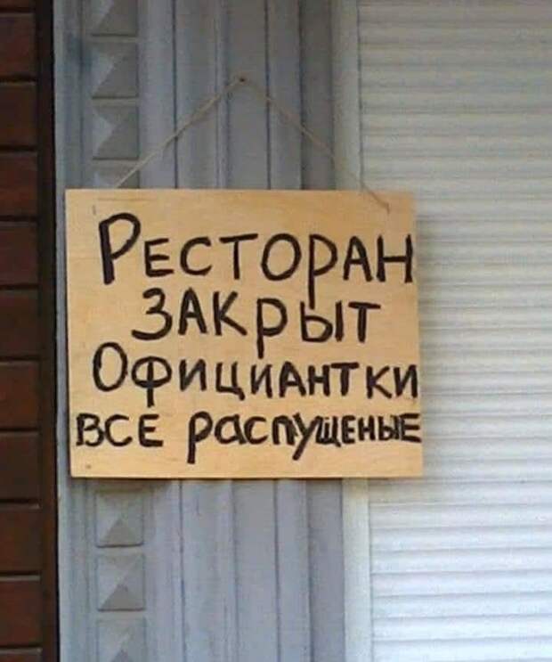20 шедевров стенонаписания и столбообклеивания в виде самых неоднозначных объявлений