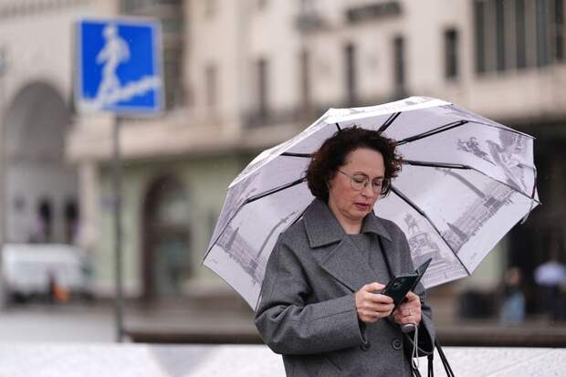 Путин обратил внимание правительства на перебои с интернетом в мегаполисах