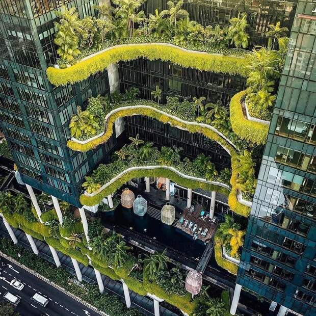 Проект городской гостиницы «Parkroyal on Pickeringв» с вертикальным озеленением реализовало архбюро WOHA (Сингапуре). | Фото: hvoya.wordpress.com/ facebook.com.