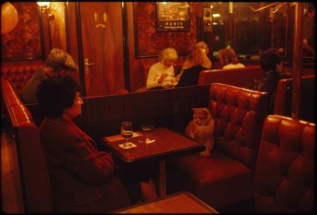 A cat named Caramel sits with a visitor at the Le Louis IX cafe in Paris. This now-iconic photo first appeared in the July 1989 issue, which was entirely dedicated to France.