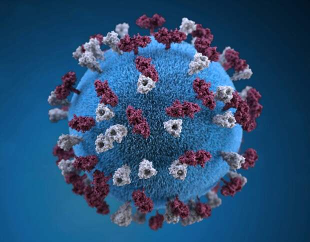 Глава Роспотребнадзора: рост заболеваемость коронавирусом ожидается в начале осени