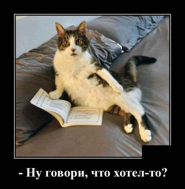 Демотиваторы (30 фото)