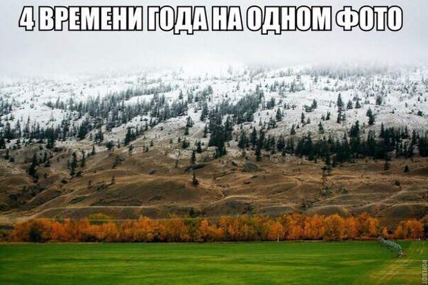 Новая партия искрометных приколов для надрыва животов Новая партия искрометных приколов для надрыва животов