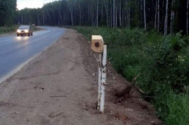 Такое возможно только в России (47 фото)