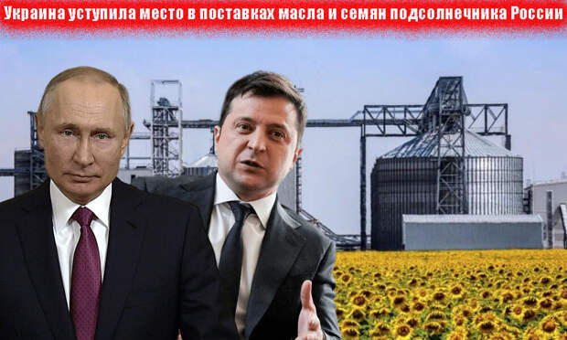 Россия вполне может претендовать на мировое лидерство по экспорту подсолнечного масла. Такой прогноз делает американское Министерство сельского хозяйства.