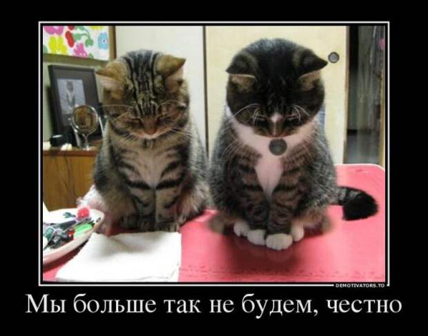 Немного новых демотиваторов