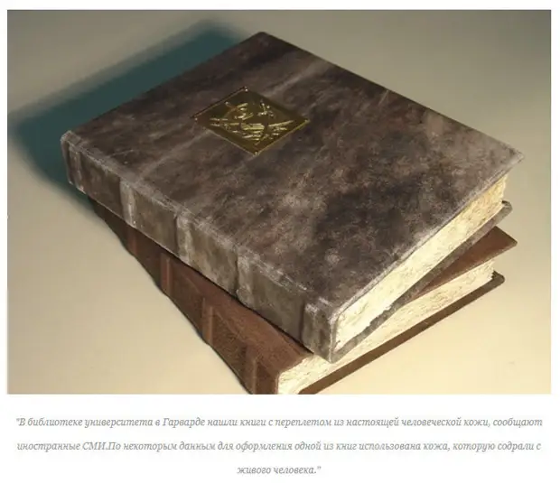 Западная цивилизация: Рабство, кровь и свобода делать любое зверство.