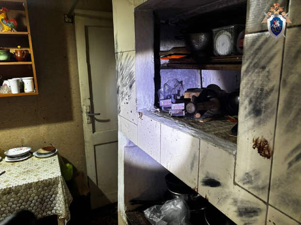 Следствие установило – был пьян: в Смоленске сын 29 раз ударил пожилую мать