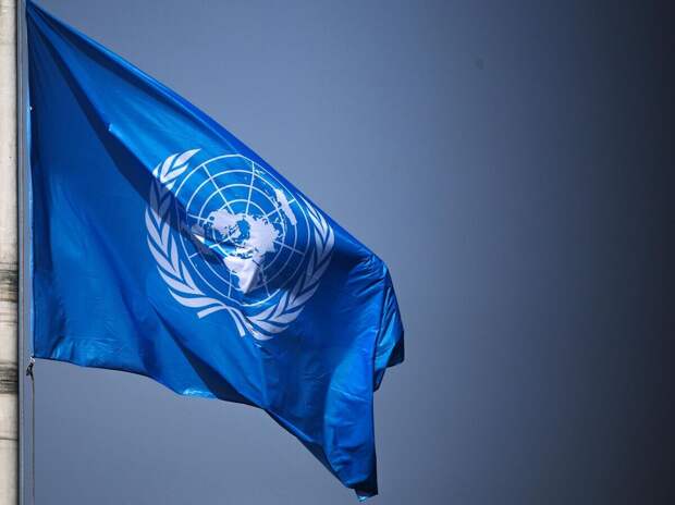В ООН сочли, что к Крыму и Донбассу неприменимо право на самоопределение