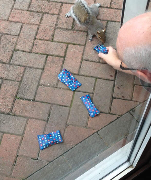 tiny-christmas-presents-squirrels-dad-6