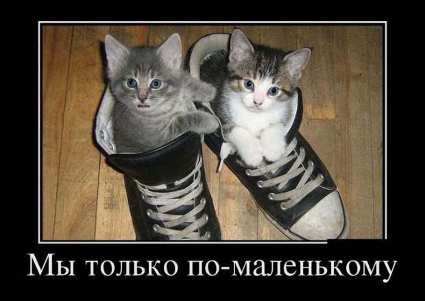 Прикольные пятничные демотиваторы (10 фото) Прикольные пятничные демотиваторы (10 фото)