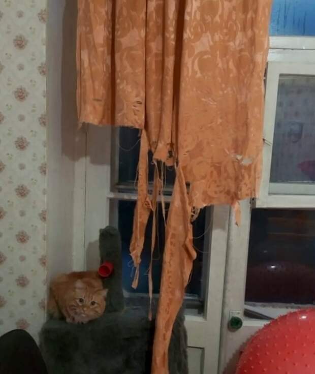Не надо драматизировать! Не надо драматизировать!
