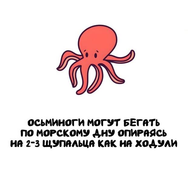 Интересные факты на все случаи жизни