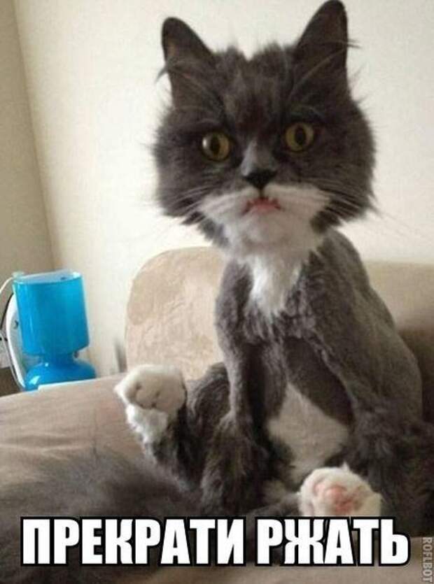 Прекрати жрать!