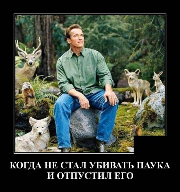 Демотиваторы (20 фото)