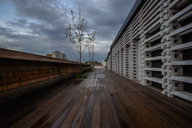 Синоптики прогнозируют небольшой дождь и до +12 градусов тепла в Туле 16 апреля