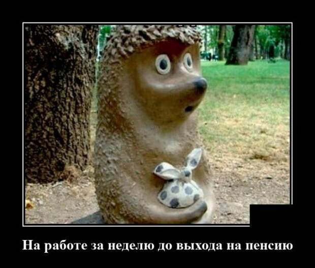 Демотиватор про пенсию