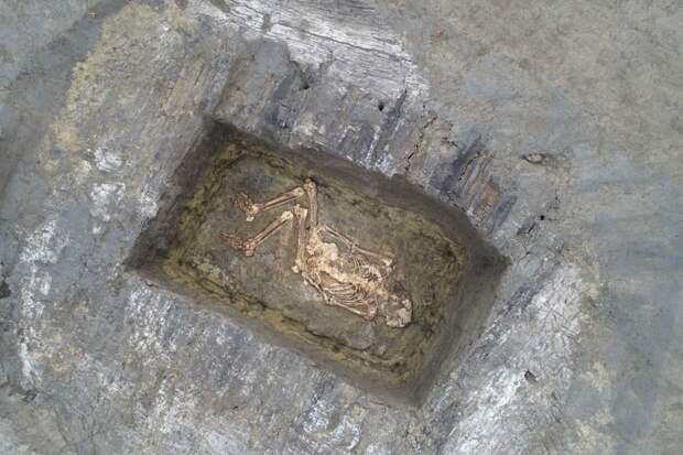 В Сербии нашли сенсационные 5000-летние гробницы "выходцев из России"