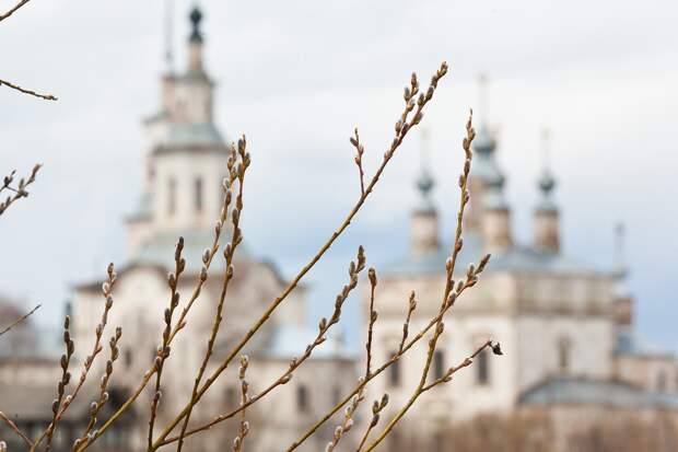 Вербное воскресенье 2026 года: даты, традиции и запреты