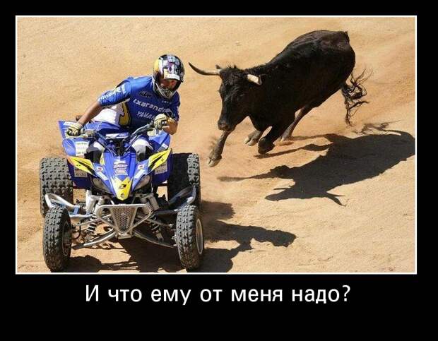 Забавные и веселые демотиваторы на выходные (11 фото) Забавные и веселые демотиваторы на выходные (11 фото)