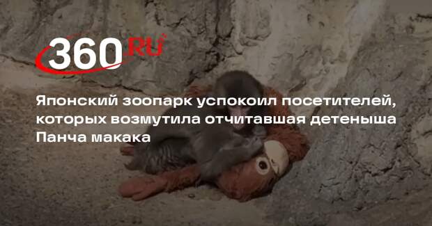 Японский зоопарк назвал нормальным поведение макаки, отчитавшей детеныша Панча