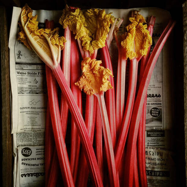 best-iphone-photography-awards-winners-2016-14-578c9e3f0b373-png__880
