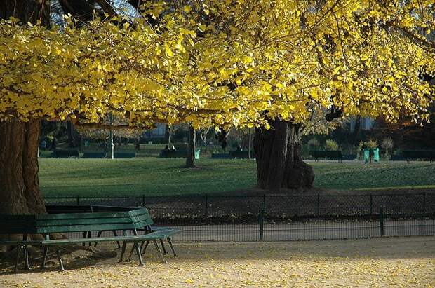 parc-monceau-17