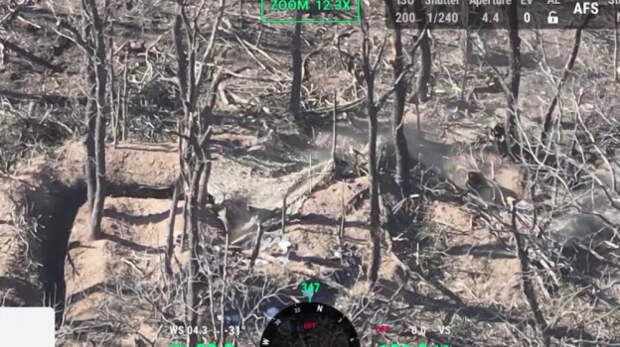 Штурмовые подразделения Ярославских десантников захватили опорный пункт ВСУ в Запорожской области