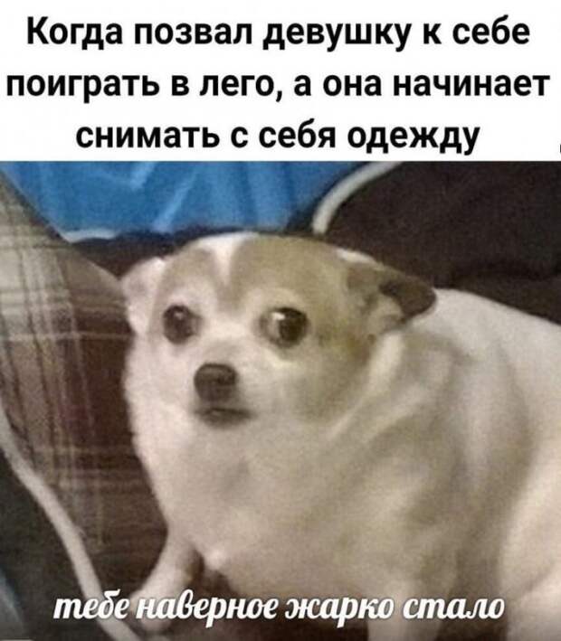 www.vsyako.net