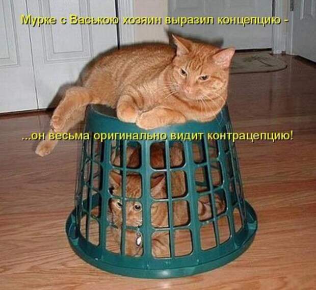 Продолжаем подготовку к Новому Году.